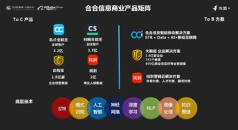 合合信息榮獲2018上海軟件雙百強企業 再接再厲,不斷創新